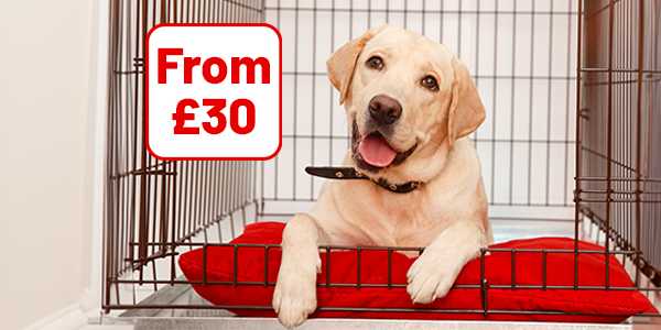 Create a cosy and safe space for your pet. Pet cages, beds and gates from £30.